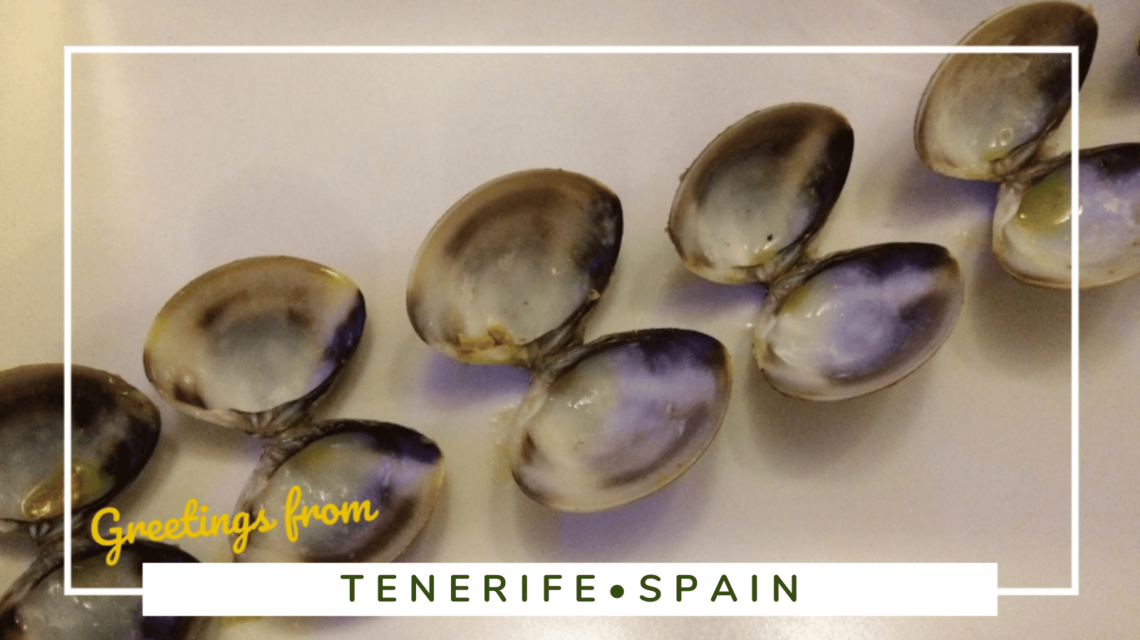 Great Restaurants In Tenerife, Spain - SittingUnderAPalmTree