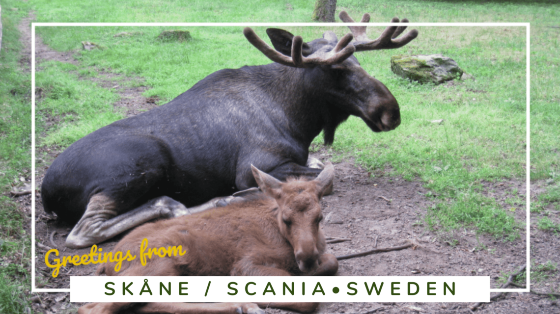 Tips For A Holiday In Skåne Scania, Sweden - SittingUnderAPalmTree