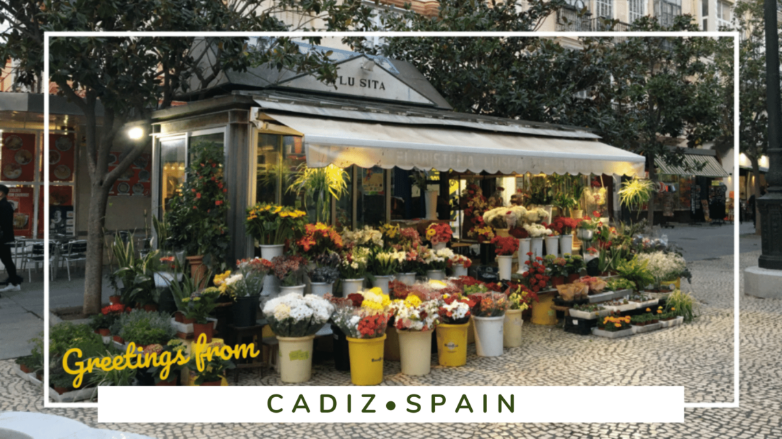 Shopping in Cadiz, Spain - SittingUnderAPalmTree