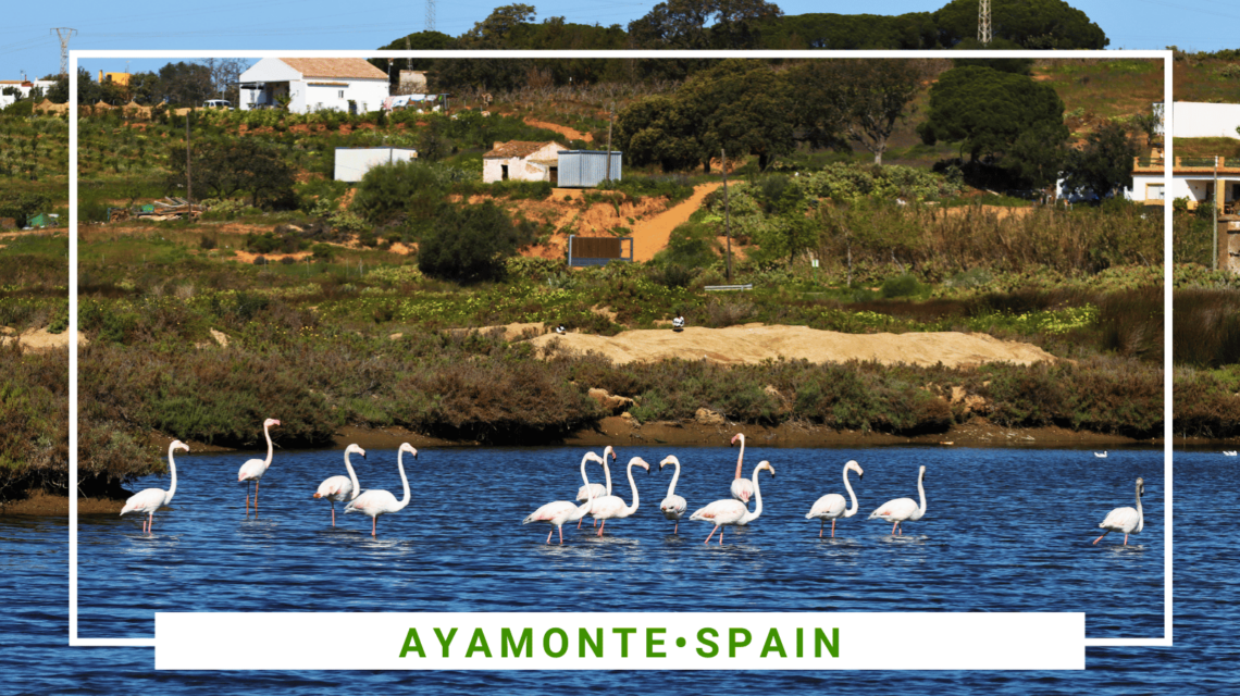 Hiking in Ayamonte, Spain - Discover the Unique Marshlands and Salt Pans - SittingUnderAPalmTree