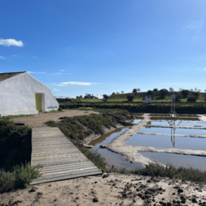 Salt pans at Castro Marim - SittingUnderAPalmTree