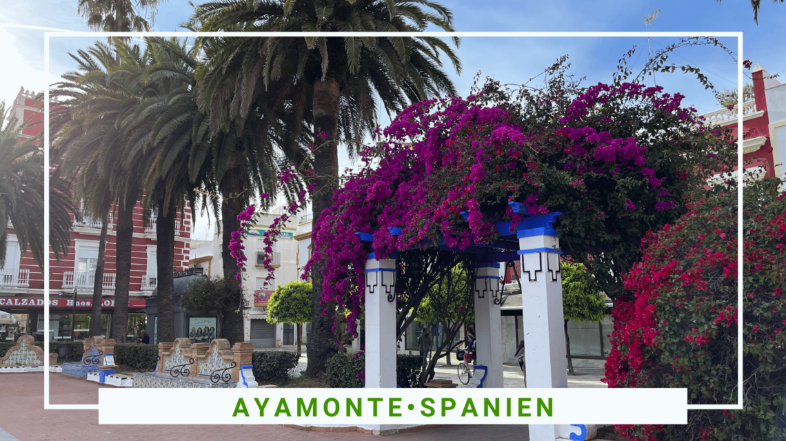 Shopping in Ayamonte - Here are all the best stores - SittingUnderAPalmTree