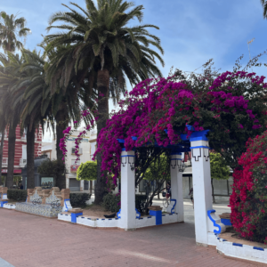 The lovely square, Paseo de la Ribera, in Ayamonte